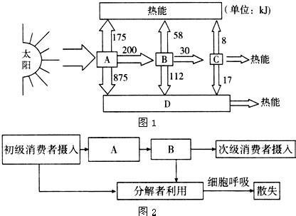 能量流失|46.2：能量流经生态系统